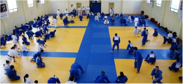  The Brazilian National Judo Team Is Training in Mexico for the Pan-American Sports Festival 