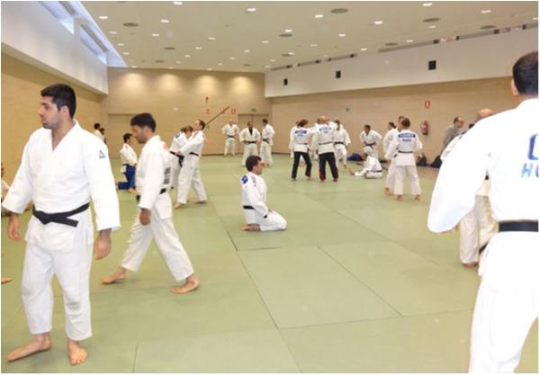 Brazil participates in the World Kata Championships 