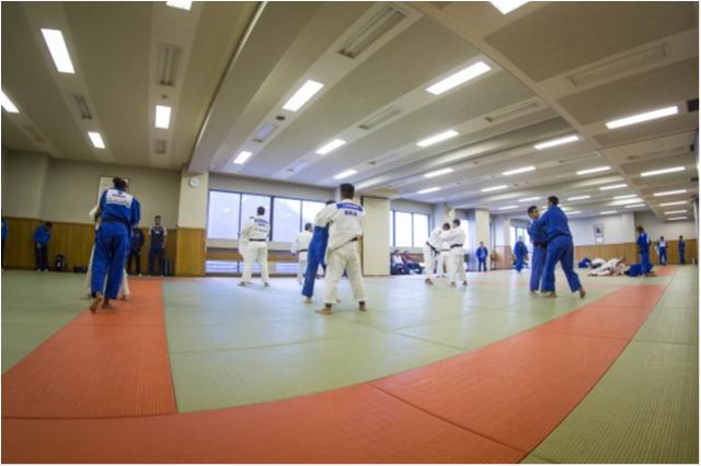 Judô brasileiro começa o ano com treinamento de campo na Áustria