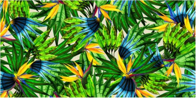 Com ajuda de Victor Penalber, COB escolhe projeto dos uniformes do Time Brasil para os desfiles da Rio 2016