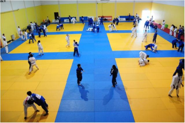 Treinamento de Campo pós-evento teste do Judô reunirá judocas de sete países no Rio