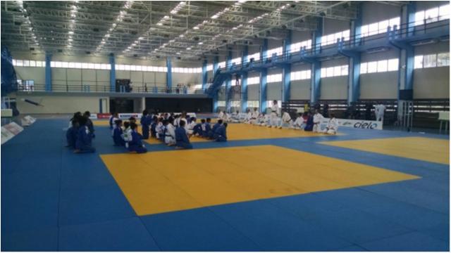 Seleção inicia treinamento de campo no Rio de Janeiro