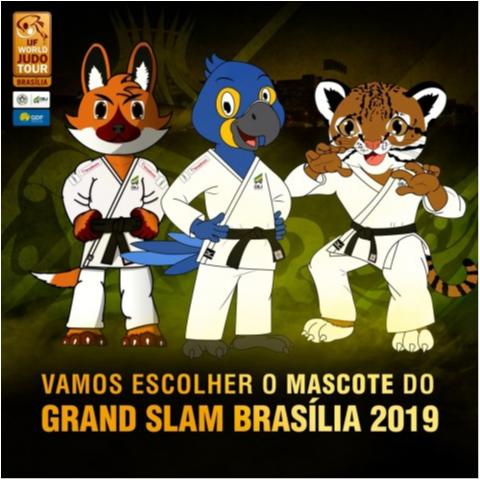 Lobo-Guará, Ararinha Azul ou Jaguatirica? Vote no seu preferido para ser a mascote oficial do Grand Slam Brasília 2019