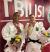 Willian Lima e Rafaela Silva são bronze no Grand Slam de Tbilisi