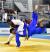Resultado final do Campeonato Brasileiro Sênior de Judô 2024
